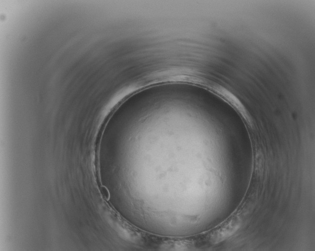 X0000062891051200601171508