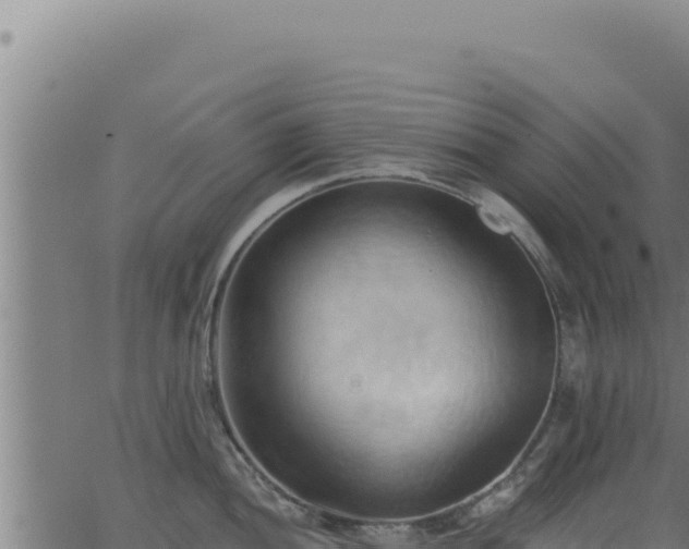 X0000062891052200601171508