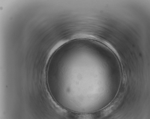 X0000062891053200601171508