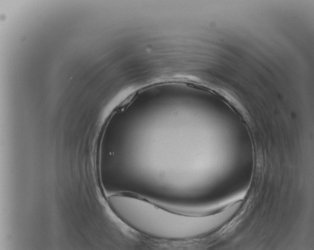 X0000062891054200601171508