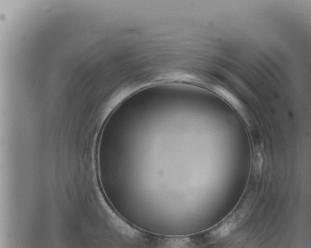 X0000062891055200601171508