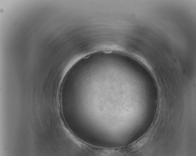 X0000062891056200601171508