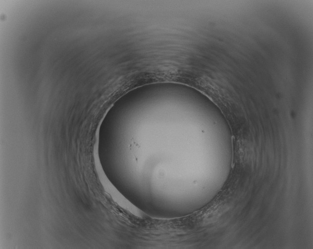 X0000062891057200601171508