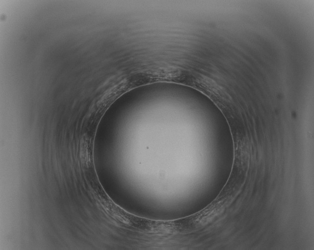 X0000062891058200601171508