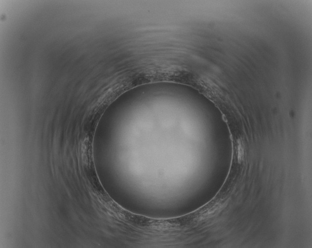 X0000062891059200601171508