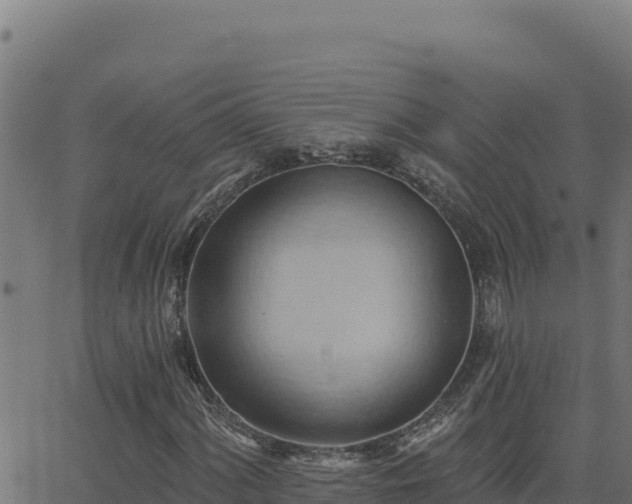 X0000062891060200601171508