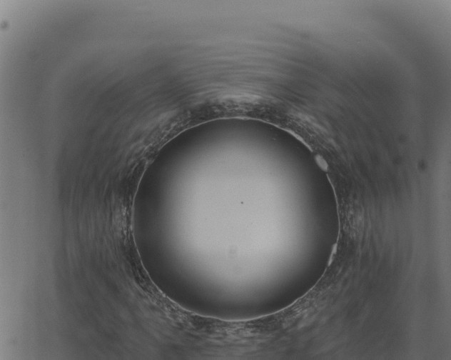 X0000062891061200601171508