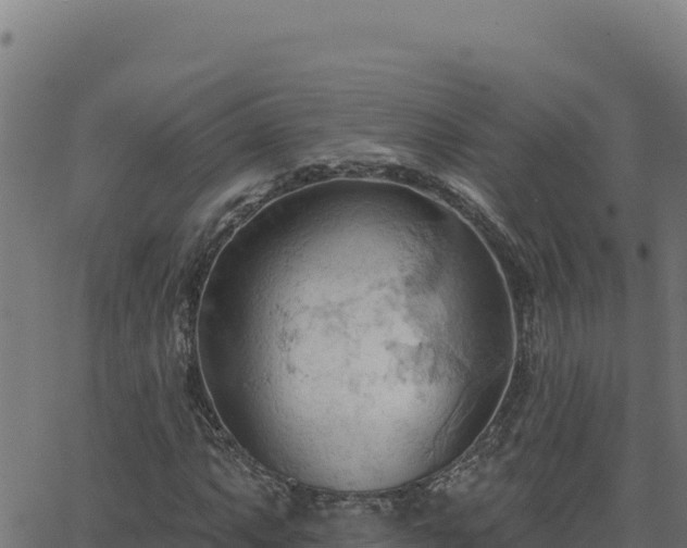 X0000062891063200601171508