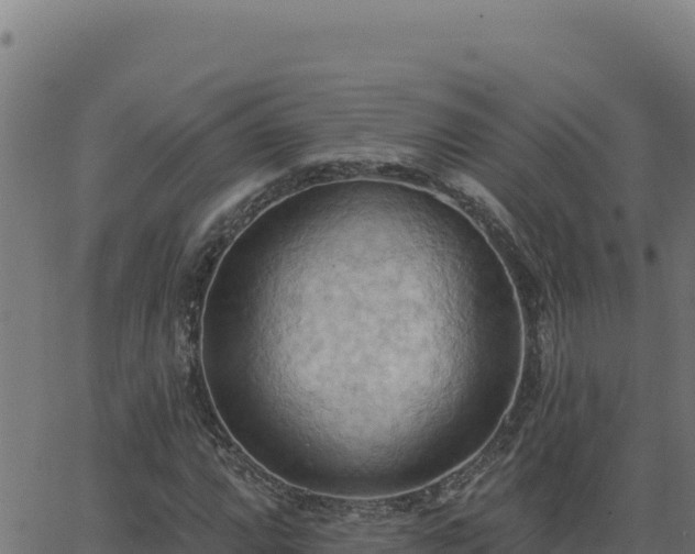 X0000062891064200601171507