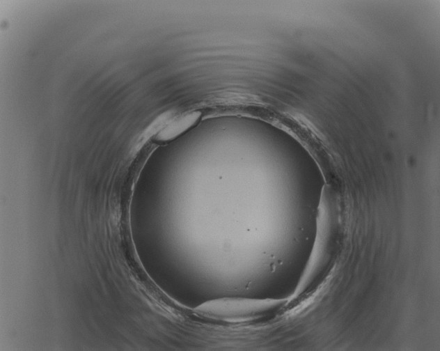 X0000062891065200601171507