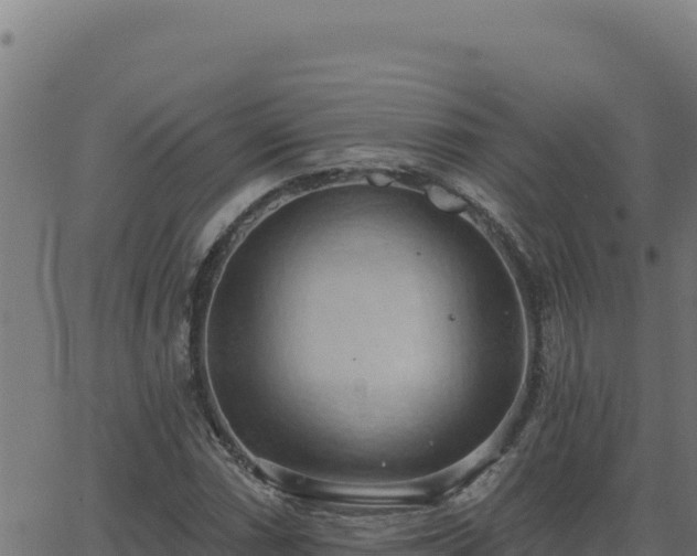 X0000062891066200601171507