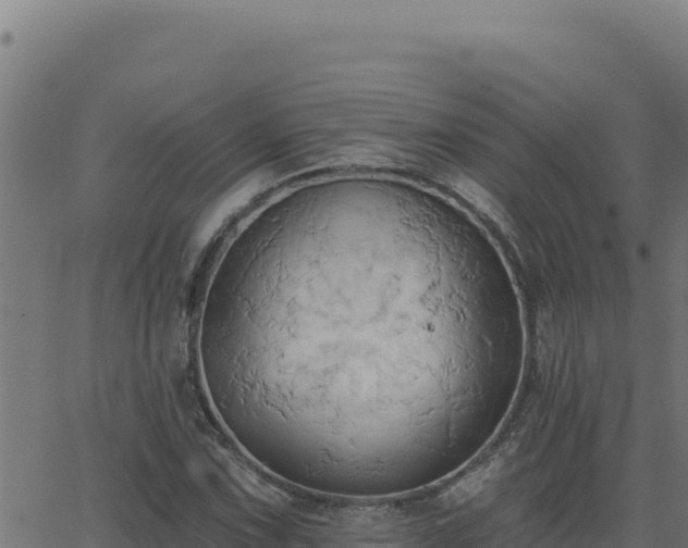 X0000062891067200601171507