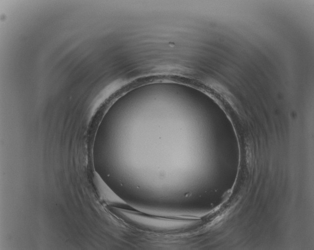 X0000062891069200601171507