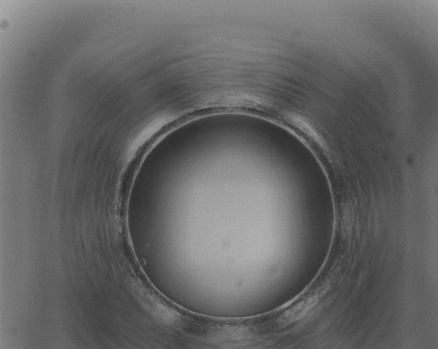 X0000062891071200601171507