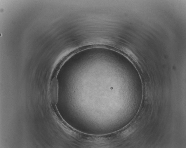 X0000062891072200601171507