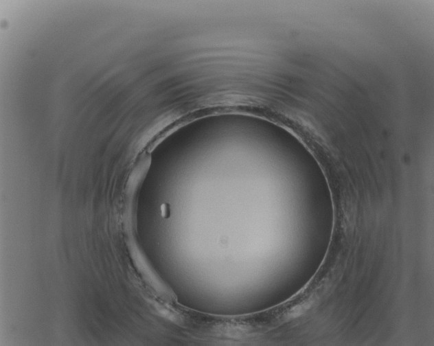 X0000062891073200601171507