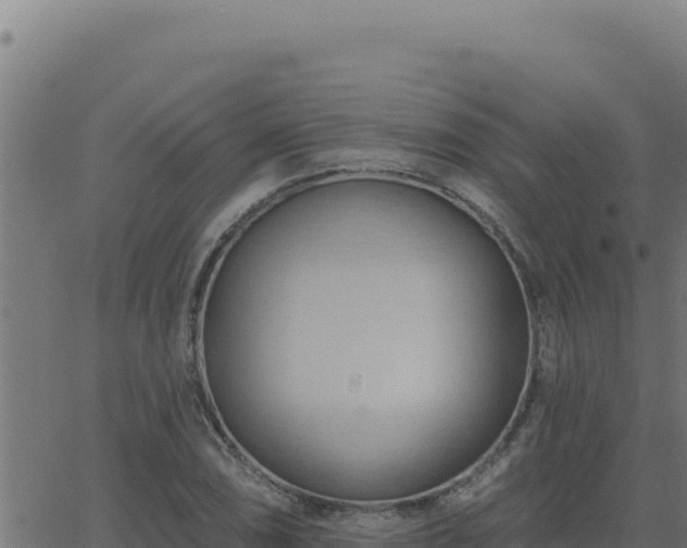 X0000062891074200601171507