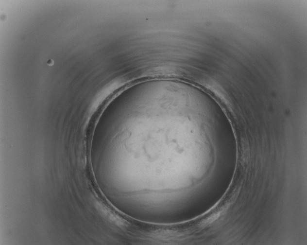 X0000062891075200601171507