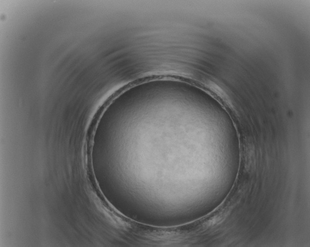 X0000062891076200601171507