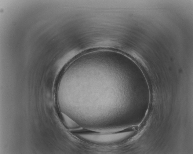 X0000062891077200601171507