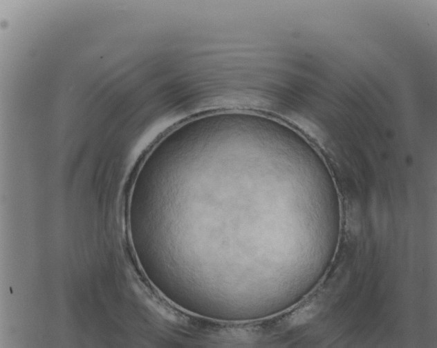 X0000062891078200601171507