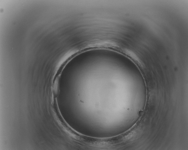 X0000062891079200601171507