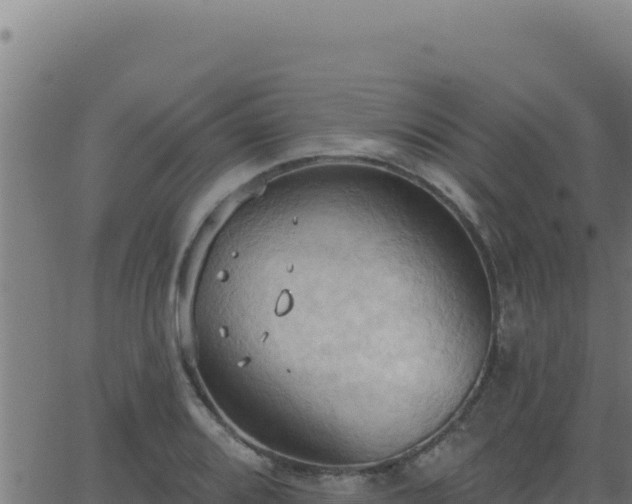 X0000062891080200601171507