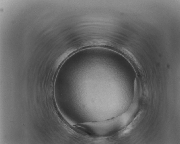 X0000062891081200601171507