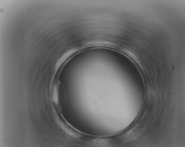 X0000062891082200601171507