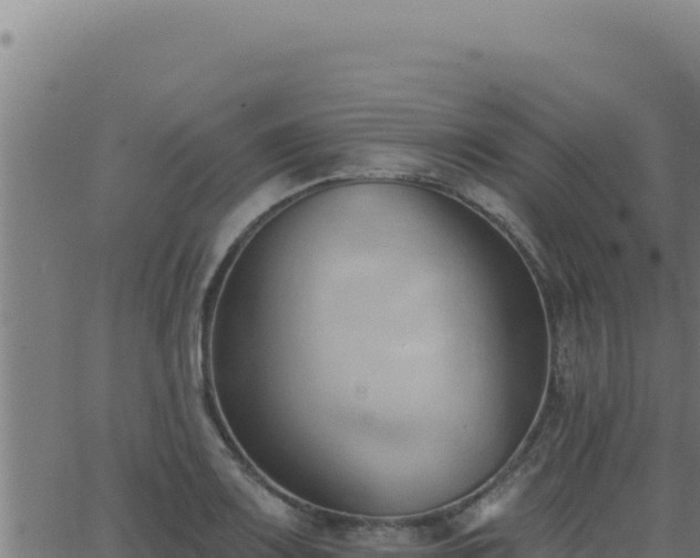 X0000062891083200601171507