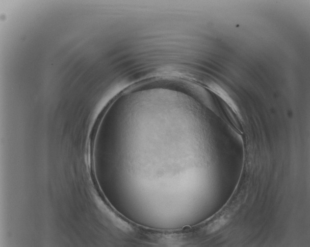 X0000062891084200601171507