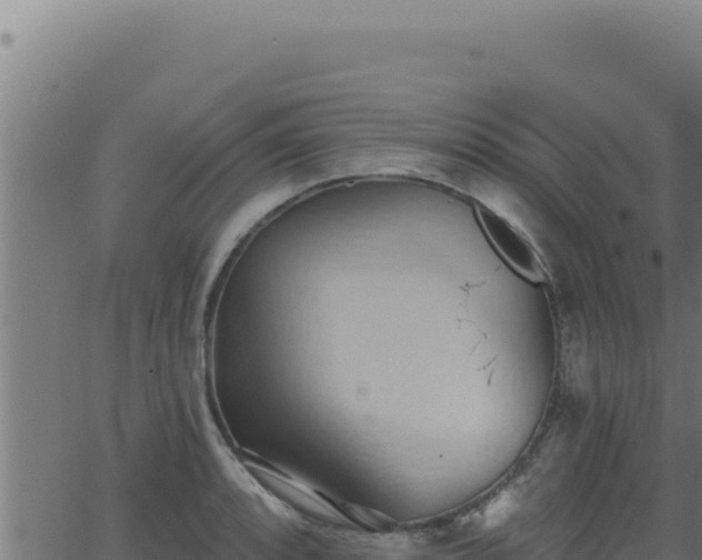 X0000062891088200601171507