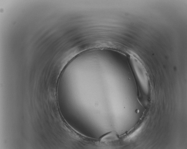 X0000062891089200601171507