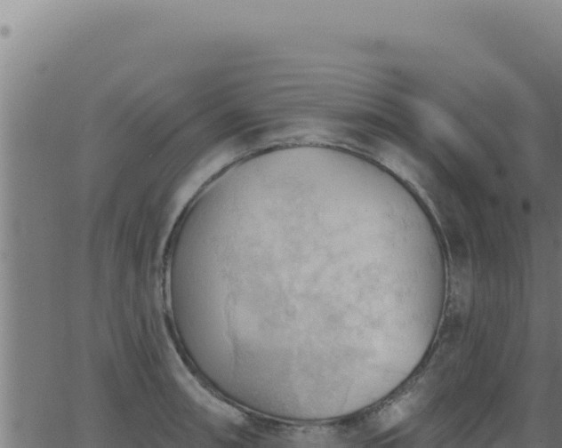 X0000062891090200601171507