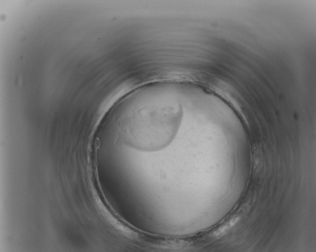 X0000062891091200601171507