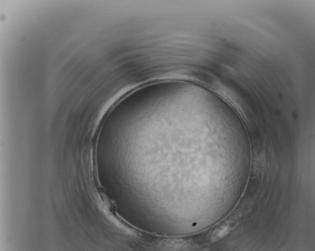 X0000062891092200601171507