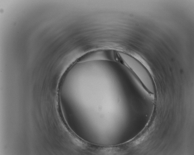 X0000062891093200601171507