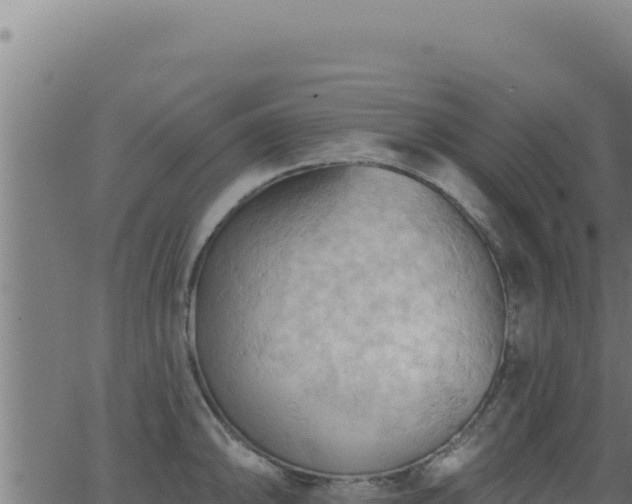 X0000062891094200601171507