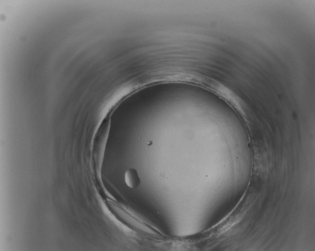 X0000062891095200601171507