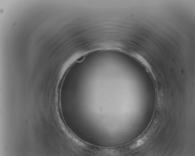 X0000062891096200601171507