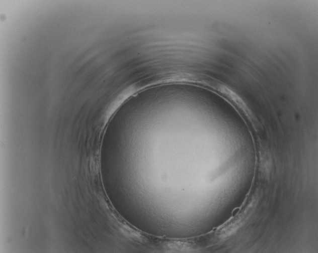 X0000062891097200601171507