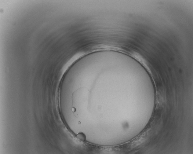 X0000062891098200601171507