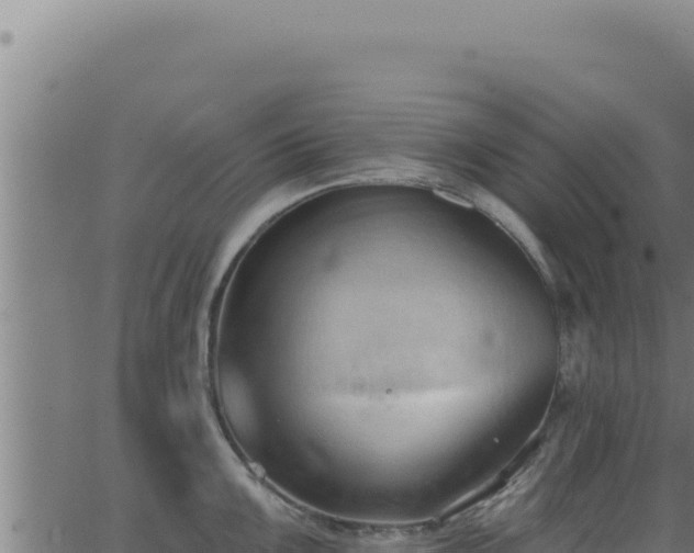 X0000062891099200601171507