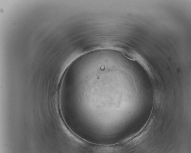 X0000062891100200601171507