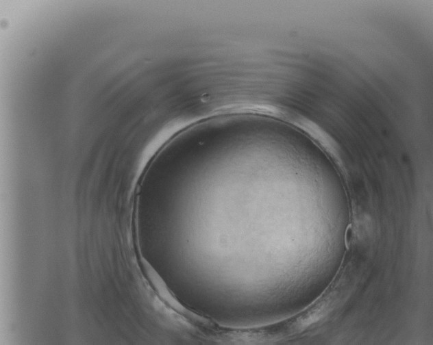 X0000062891102200601171507