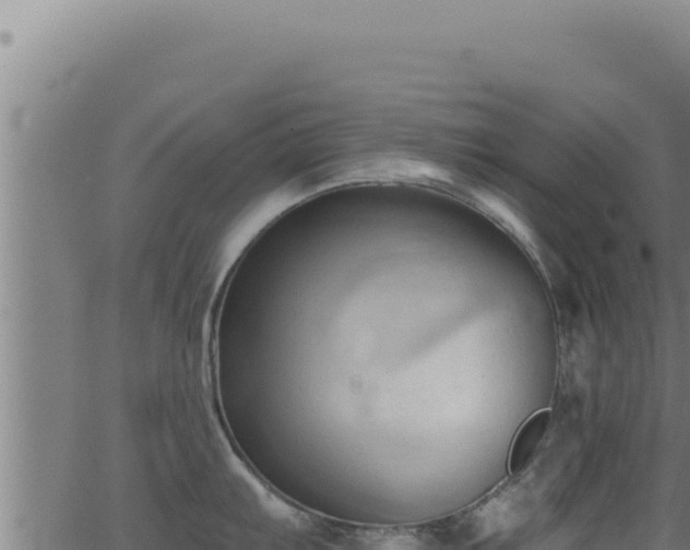 X0000062891103200601171507