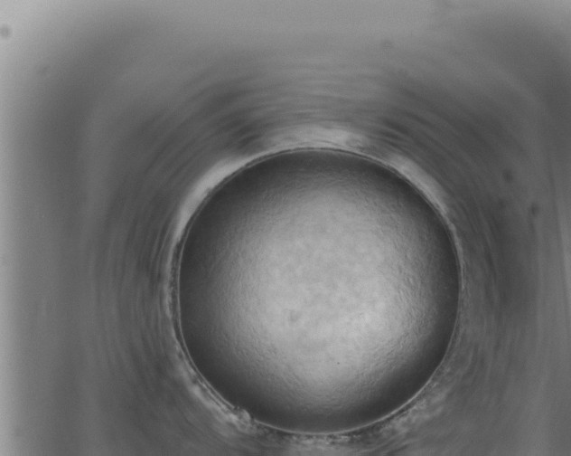 X0000062891104200601171507