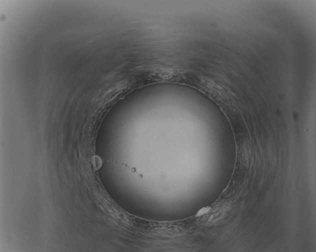 X0000062891105200601171506