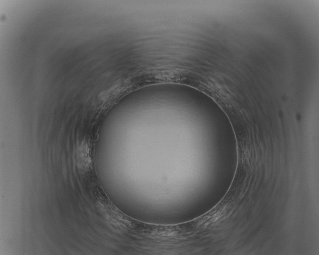 X0000062891106200601171506