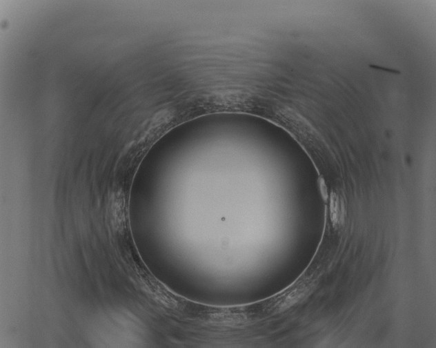 X0000062891107200601171506